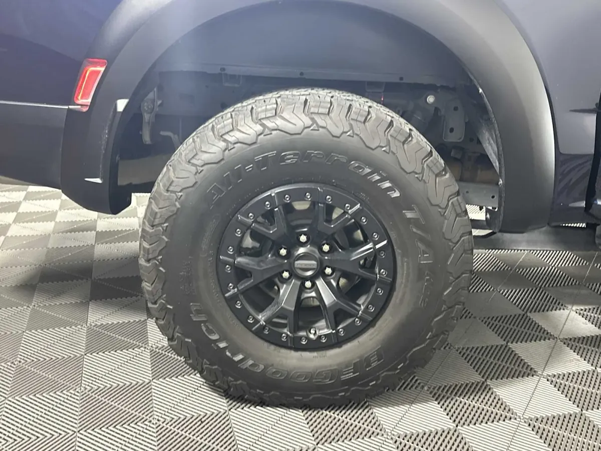 2023 Ford F-150 Raptor thumbnail 20