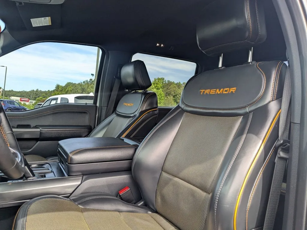 2023 Ford F-150 Tremor thumbnail 15