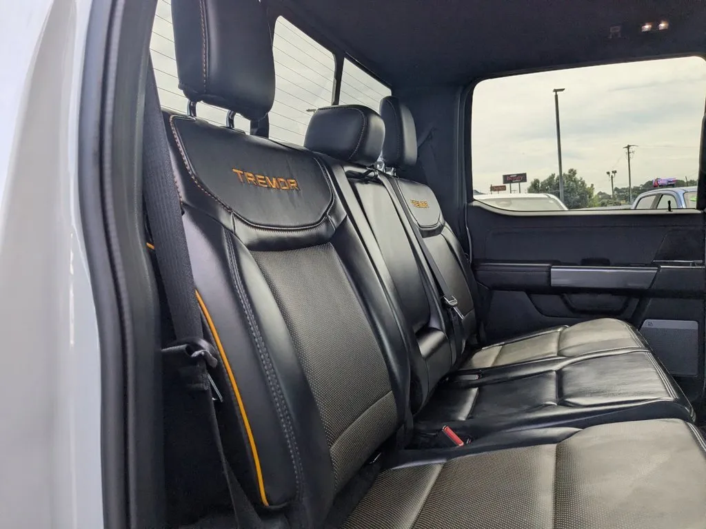 2023 Ford F-150 Tremor thumbnail 27