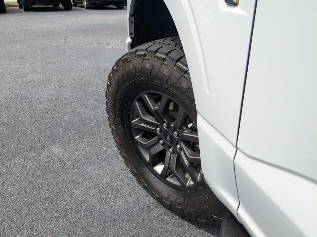 2023 Ford F-150 Tremor thumbnail 9