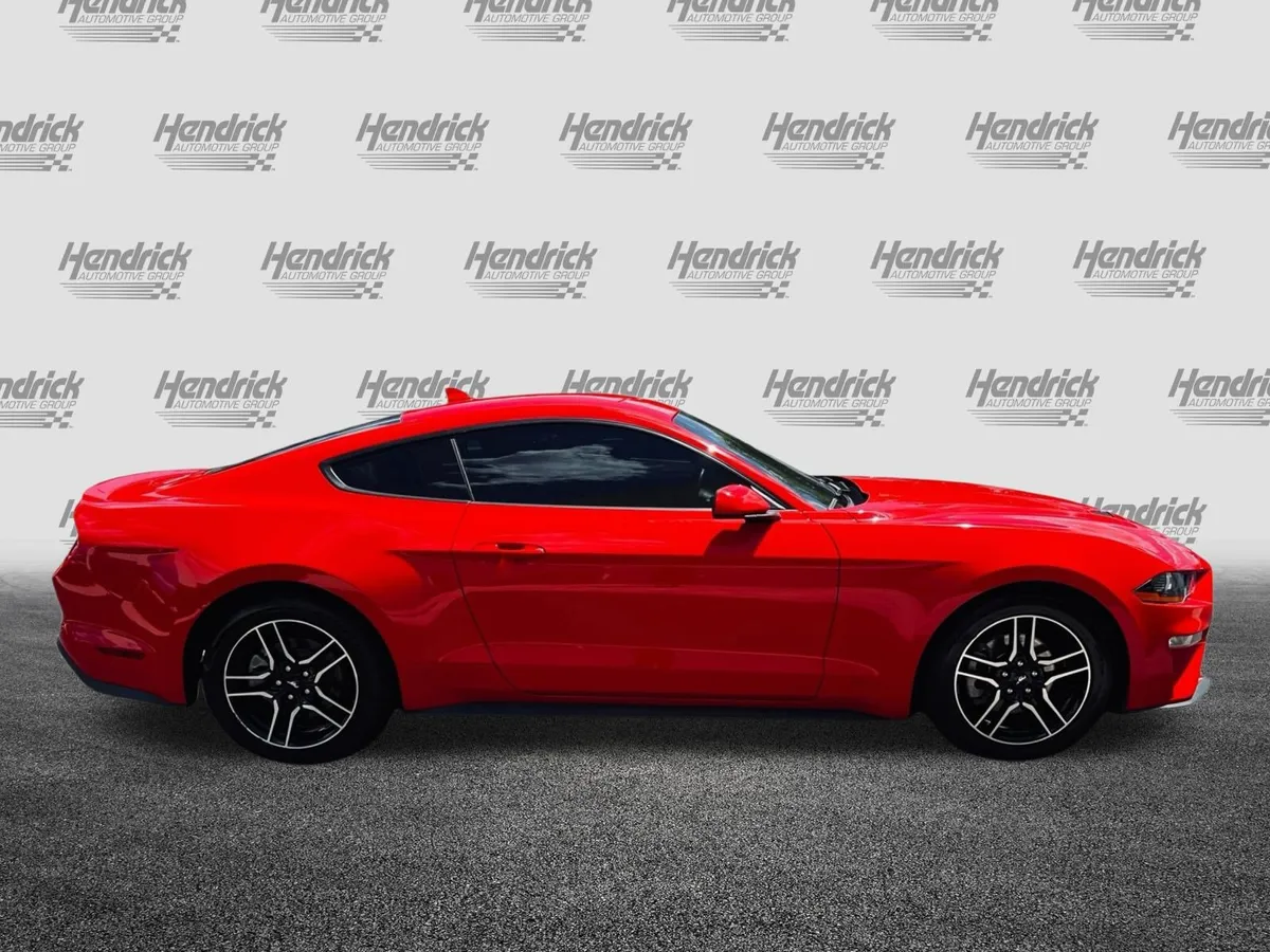 2023 Ford Mustang EcoBoost Premium thumbnail 11