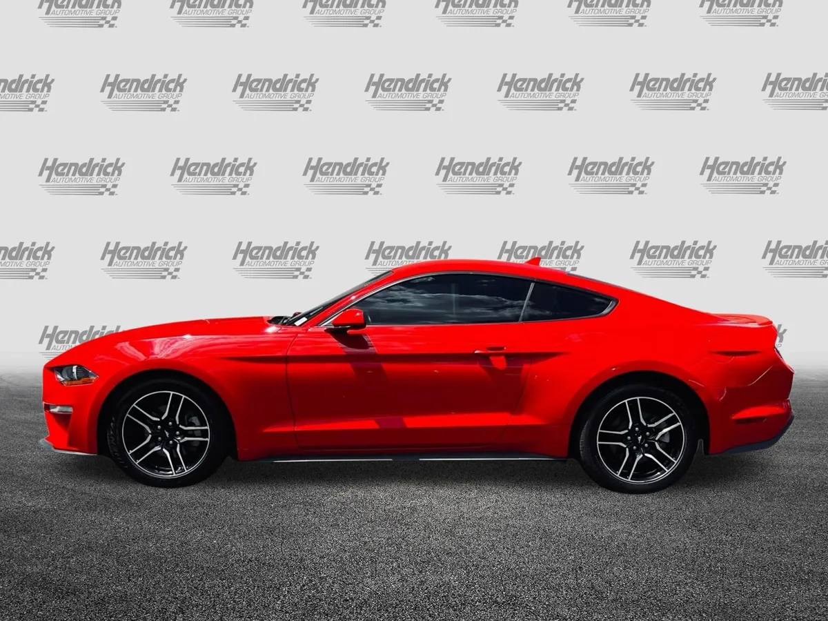2023 Ford Mustang EcoBoost Premium thumbnail 7