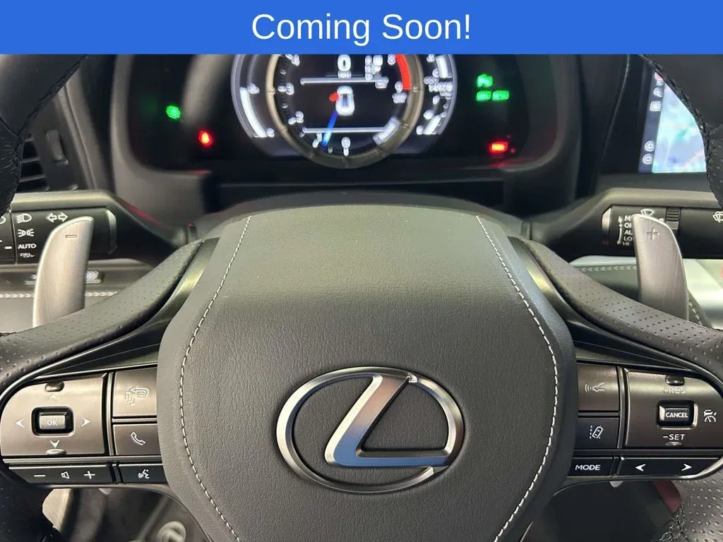 2023 Lexus LC 500 thumbnail 29