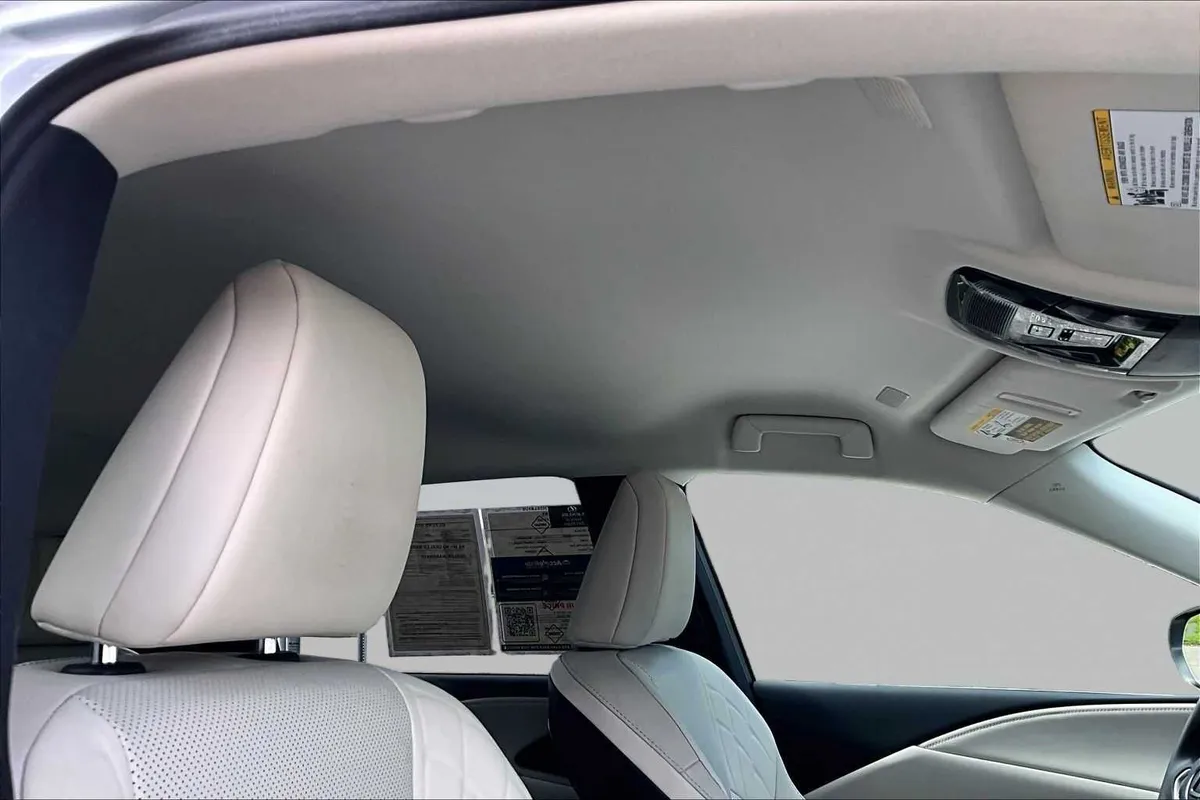 2023 Lexus RX 350 thumbnail 14