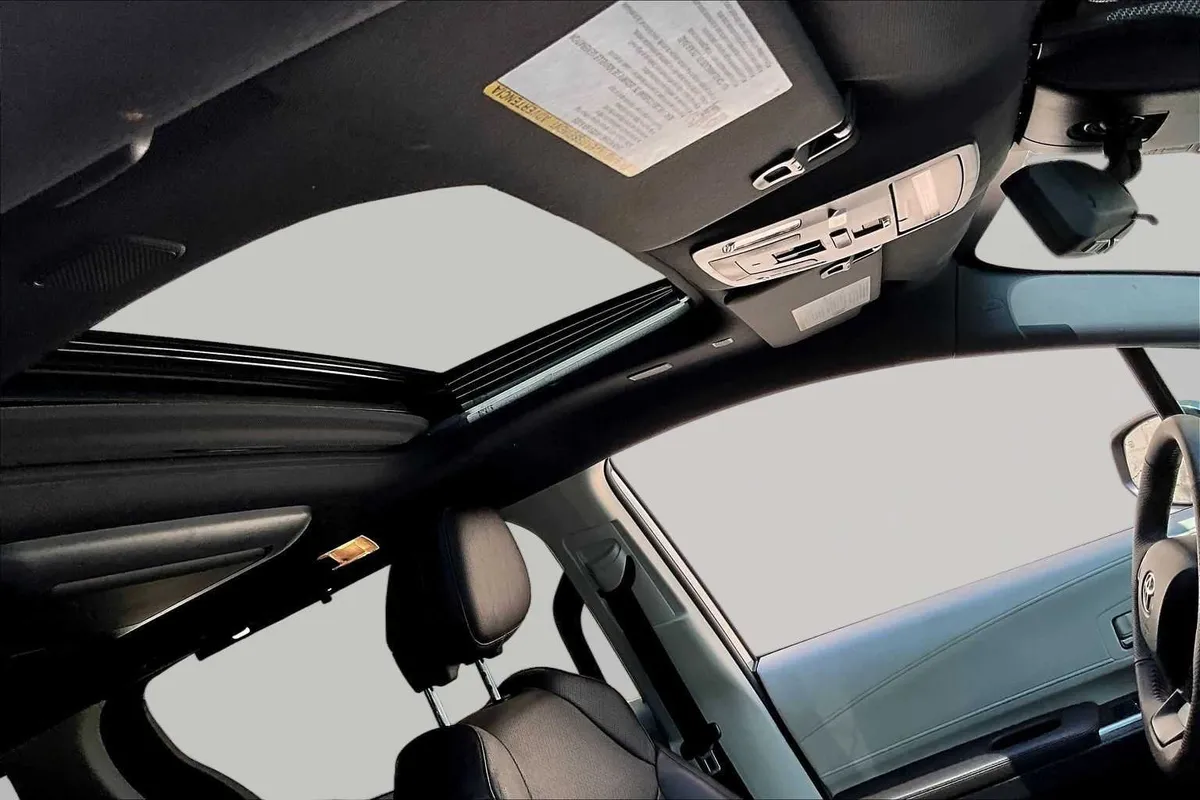 2023 Toyota Sienna Platinum thumbnail 14