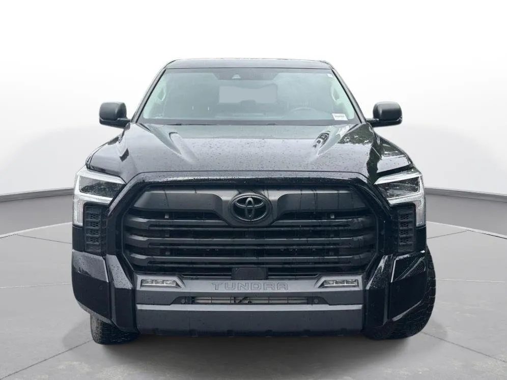 2023 Toyota Tundra SR5 thumbnail 3