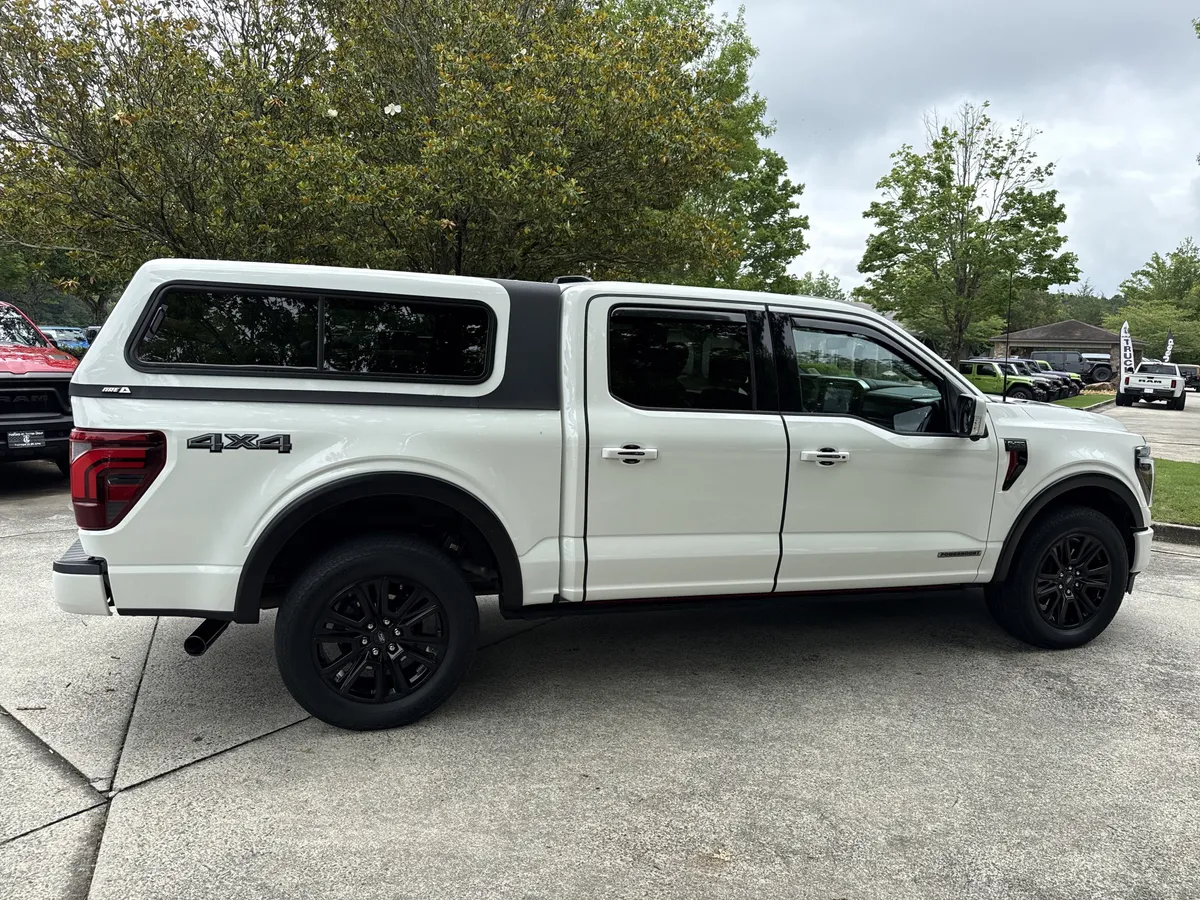 2024 Ford F-150 Platinum thumbnail 8
