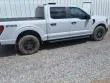 2024 Ford F-150 STX thumbnail 4