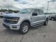 2024 Ford F-150 XLT thumbnail 27