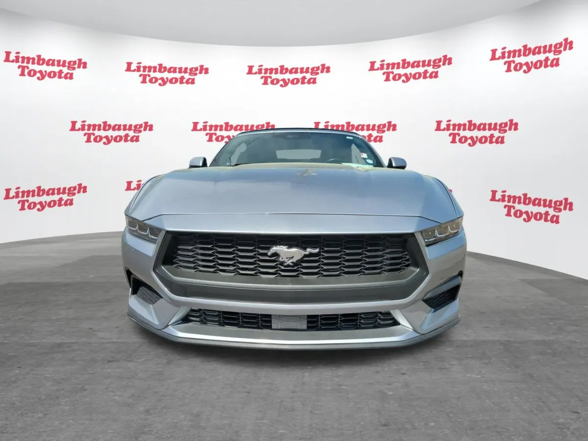 2024 Ford Mustang EcoBoost Premium thumbnail 19