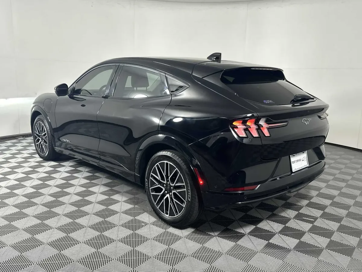 2024 Ford Mustang Mach-E Premium thumbnail 10
