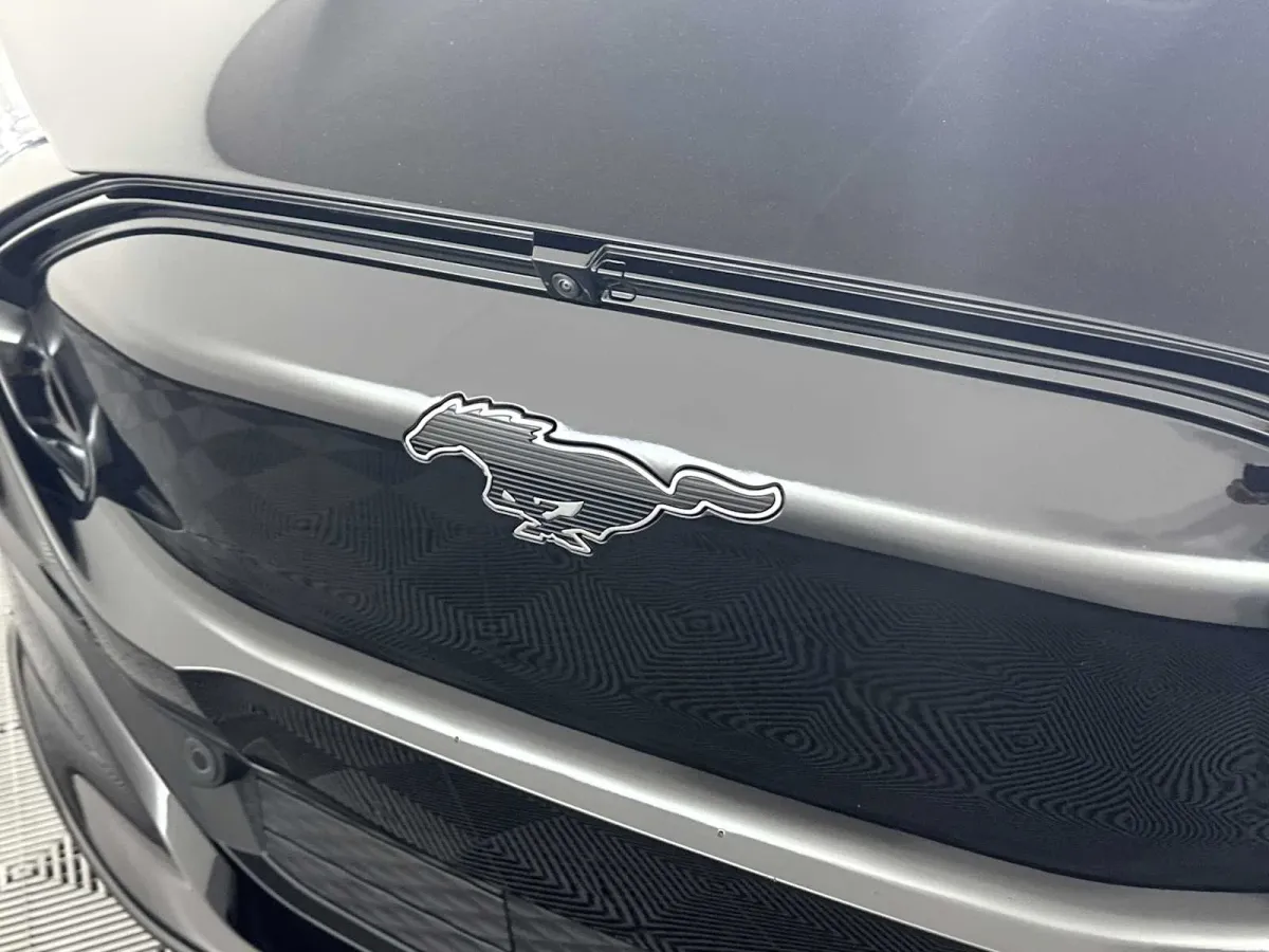 2024 Ford Mustang Mach-E Premium thumbnail 18
