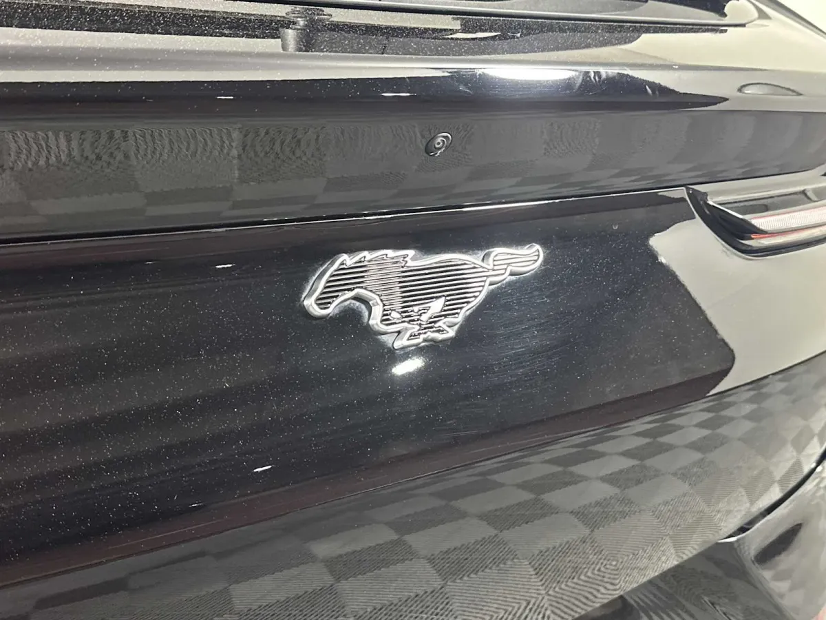 2024 Ford Mustang Mach-E Premium thumbnail 26