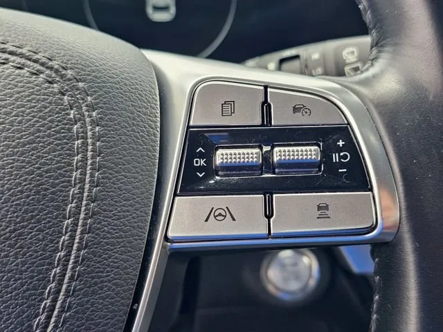 2024 Kia Telluride SX thumbnail 22