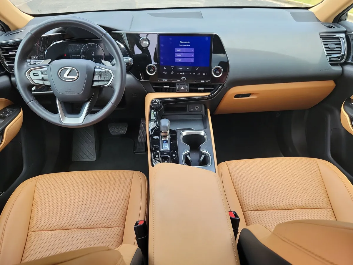 2024 LEXUS NX 250 thumbnail 10