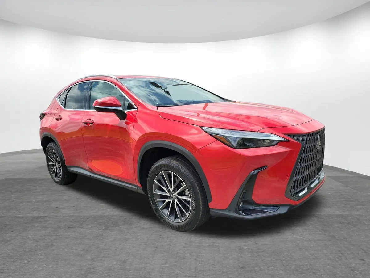 2024 LEXUS NX 250 thumbnail 20