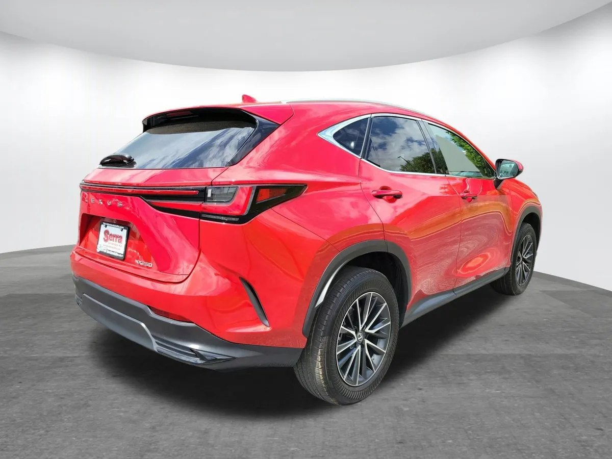 2024 LEXUS NX 250 thumbnail 24