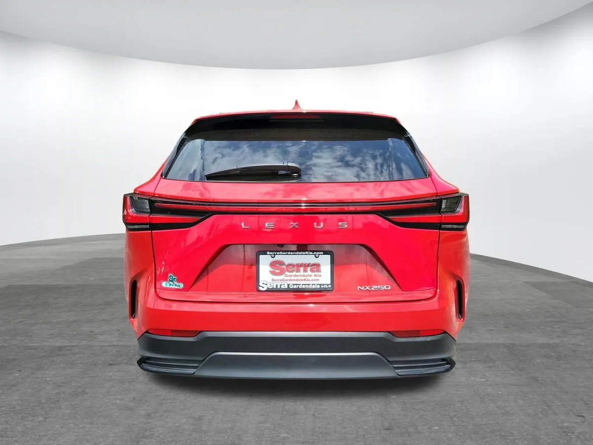 2024 LEXUS NX 250 thumbnail 25