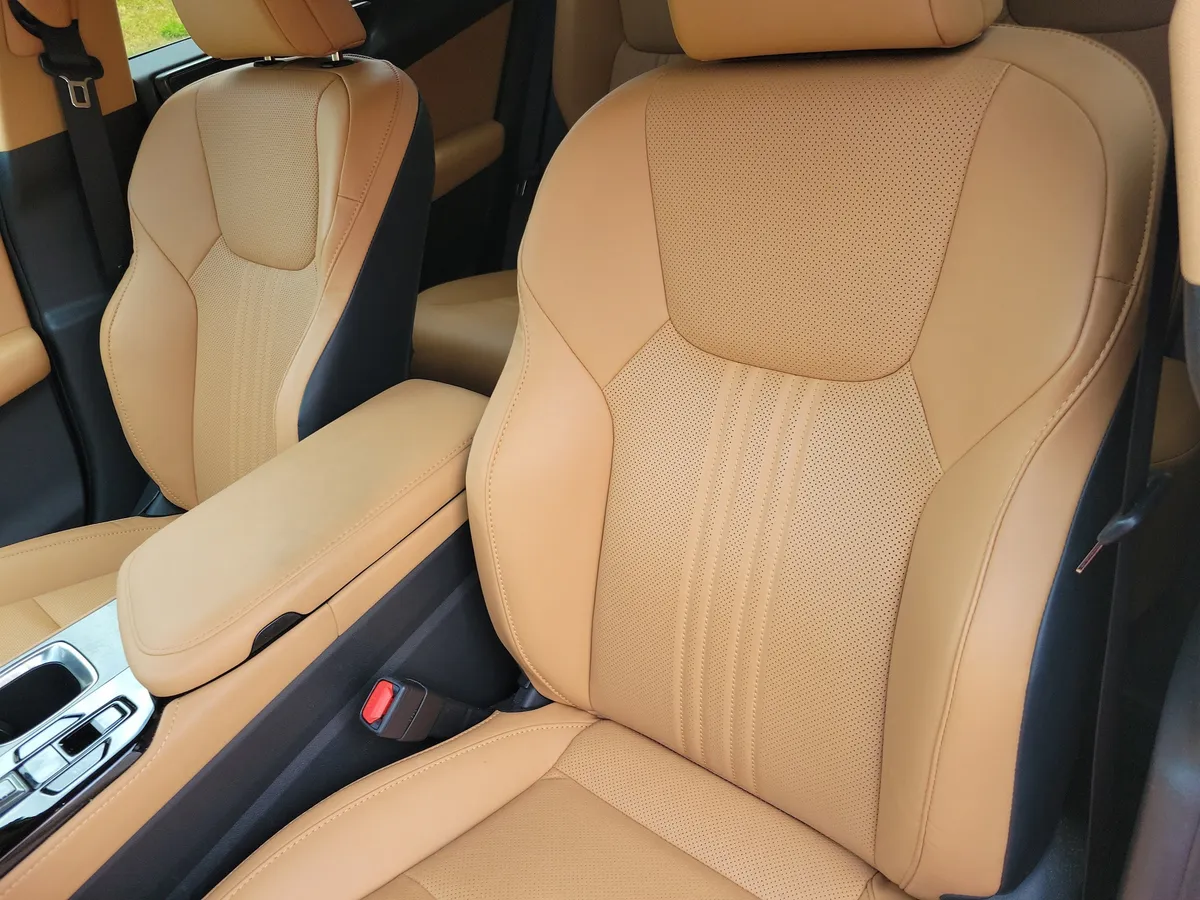 2024 LEXUS NX 250 thumbnail 6