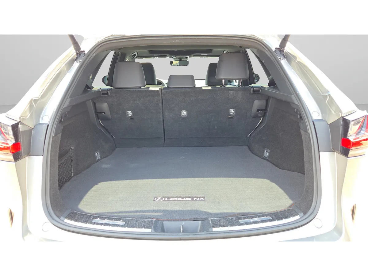 2024 LEXUS NX NX 250 Premium thumbnail 10