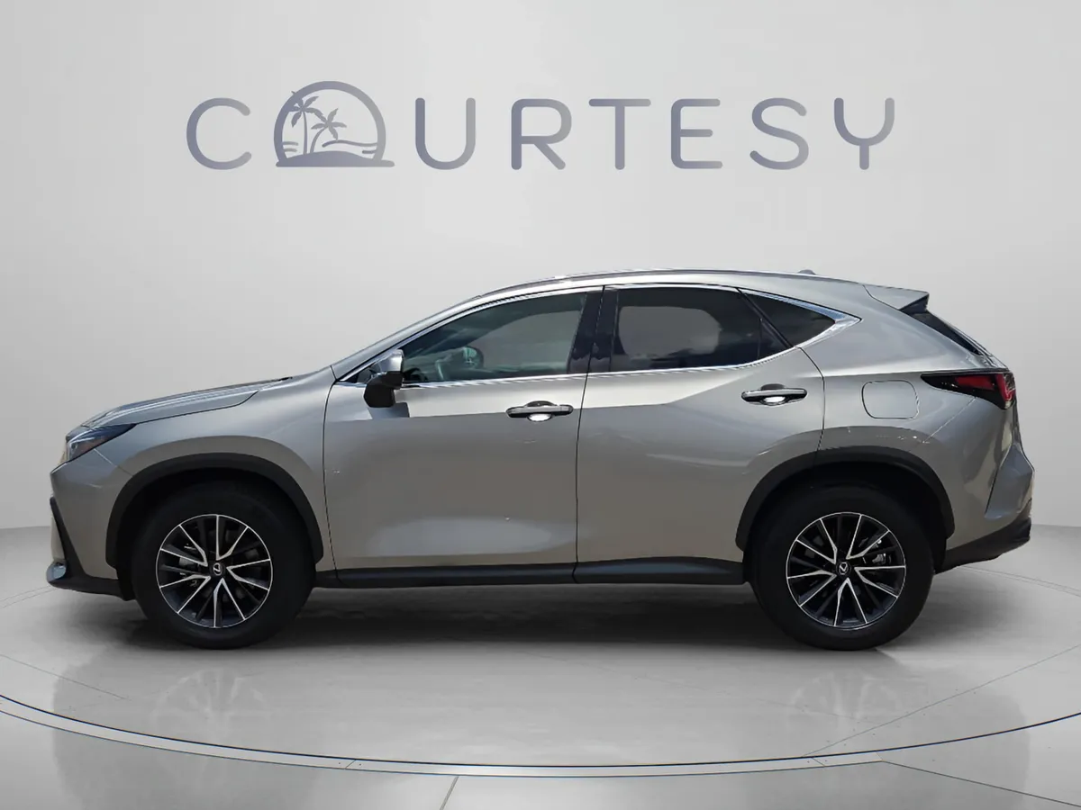 2024 LEXUS NX NX 250 Premium thumbnail 2