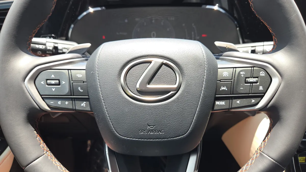 2024 LEXUS NX NX 250 Premium thumbnail 30