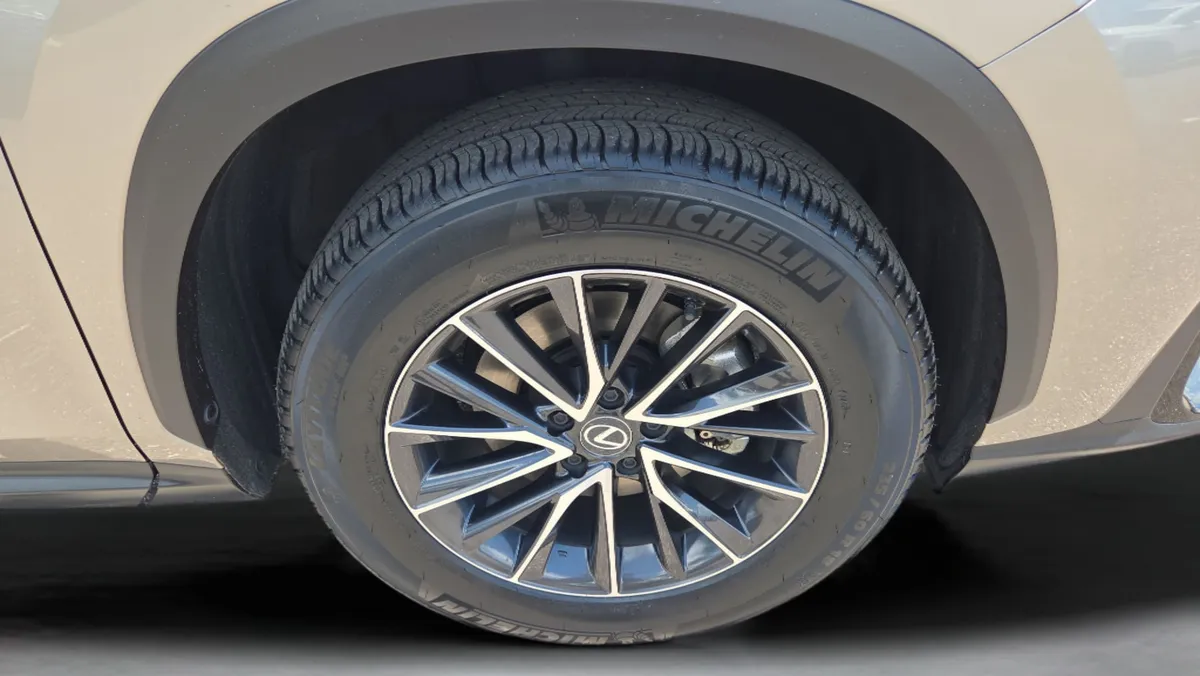 2024 LEXUS NX NX 250 Premium thumbnail 34