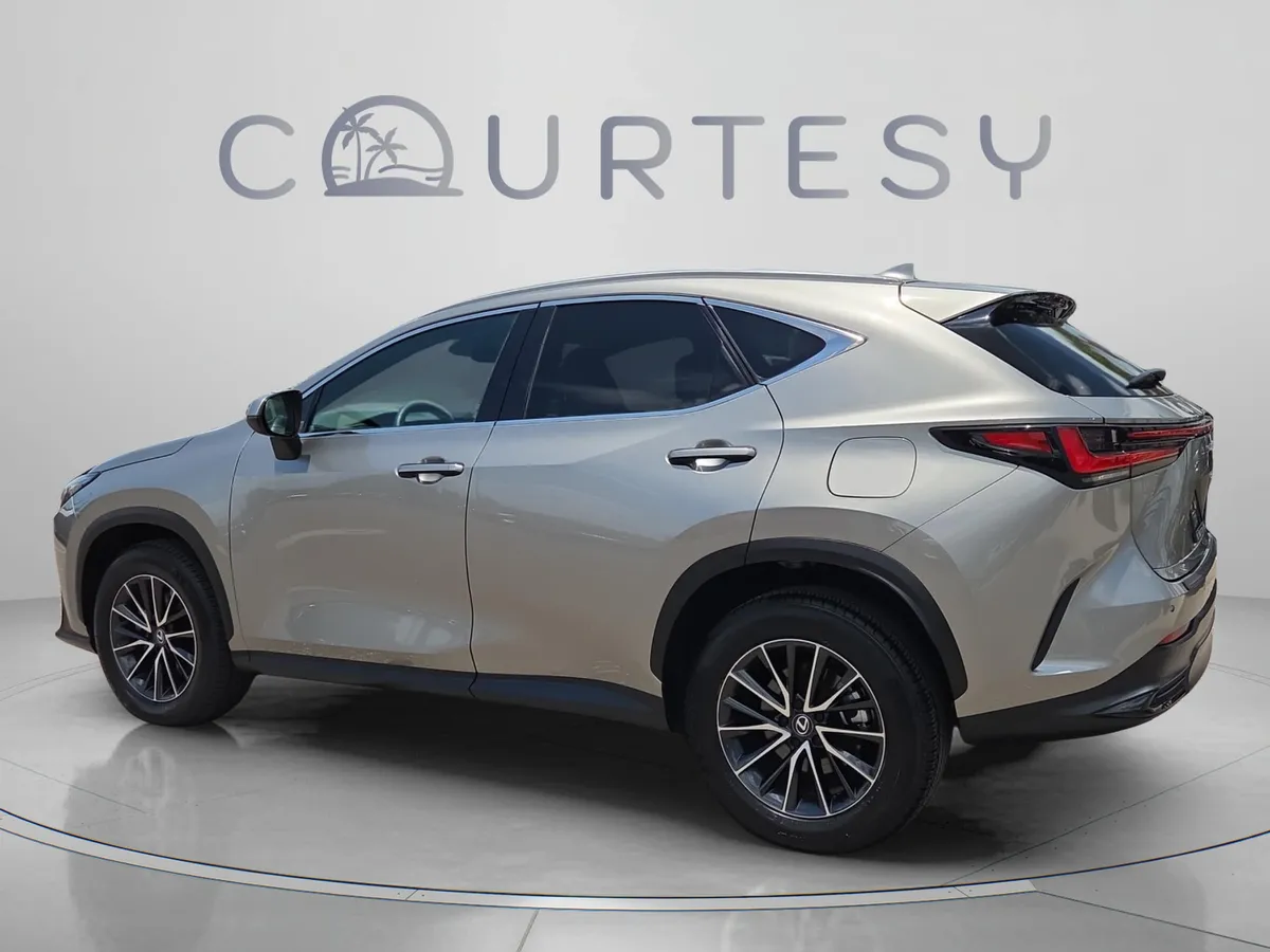 2024 LEXUS NX NX 250 Premium thumbnail 4