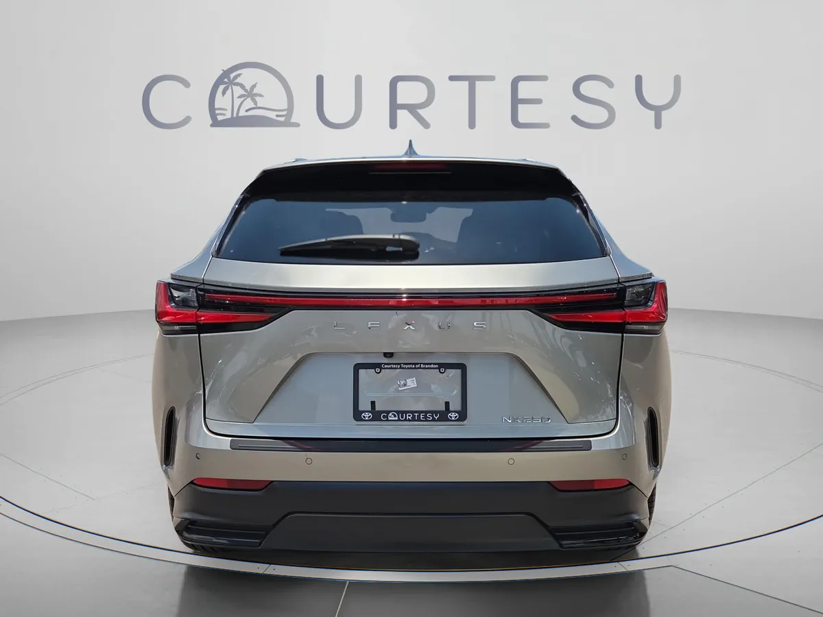 2024 LEXUS NX NX 250 Premium thumbnail 5