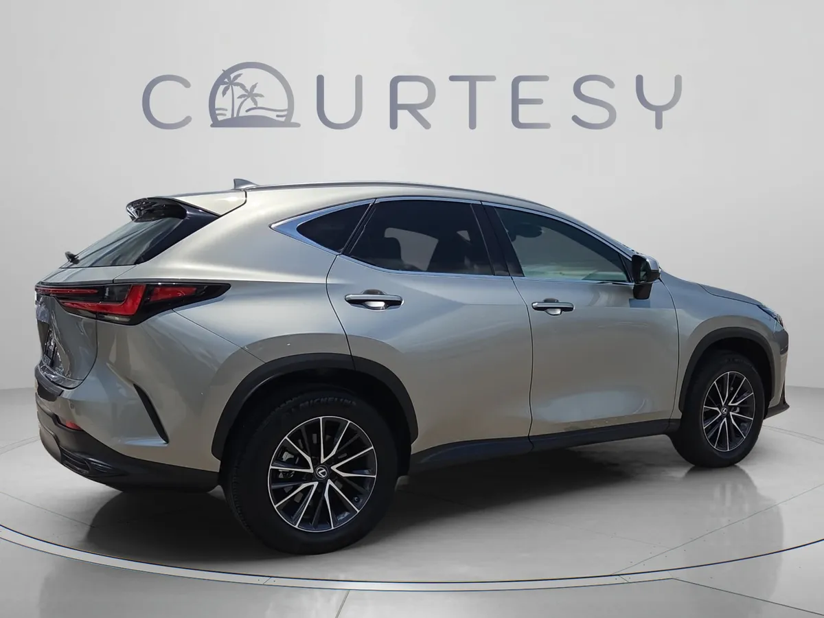 2024 LEXUS NX NX 250 Premium thumbnail 6