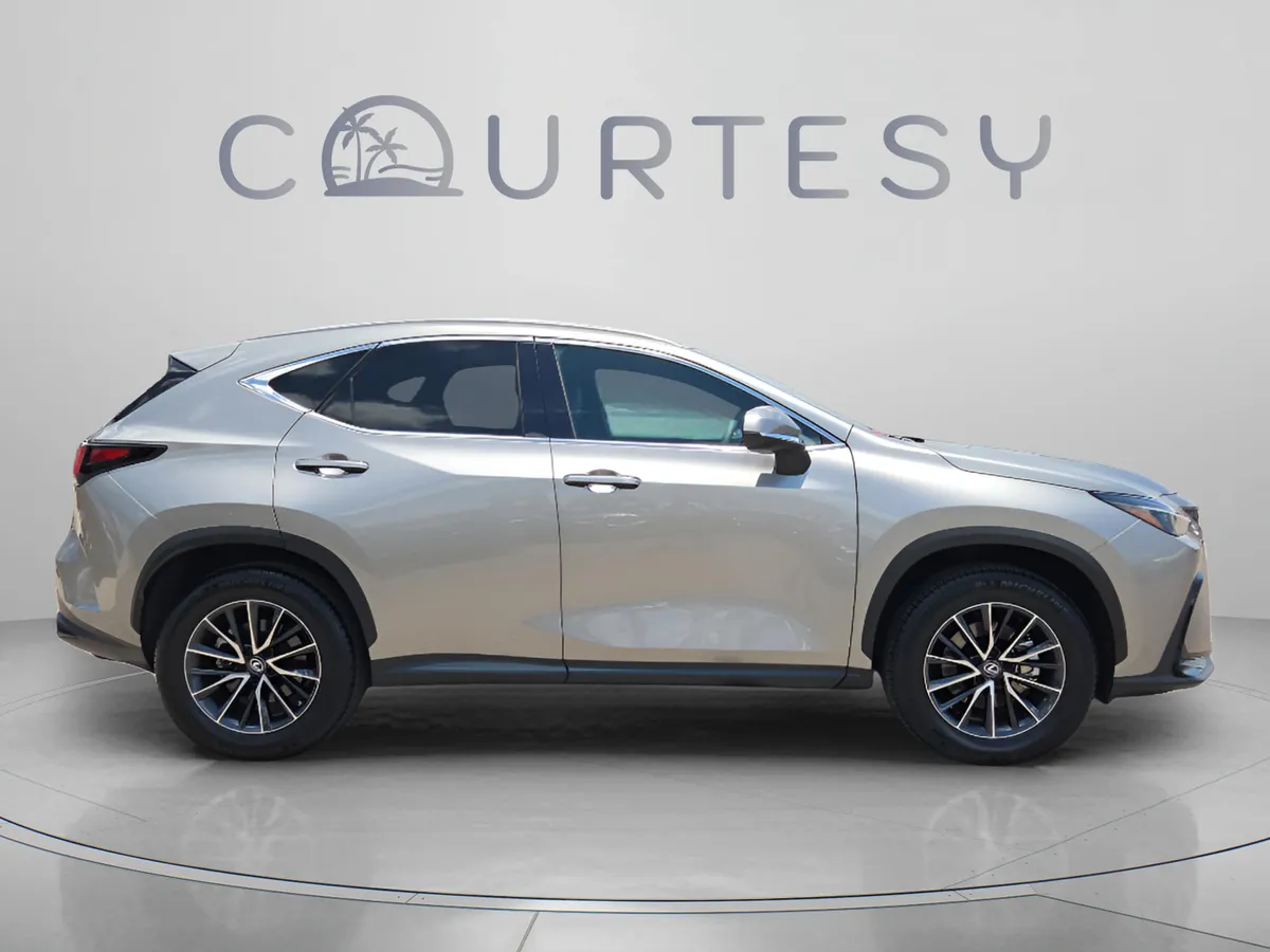 2024 LEXUS NX NX 250 Premium thumbnail 7