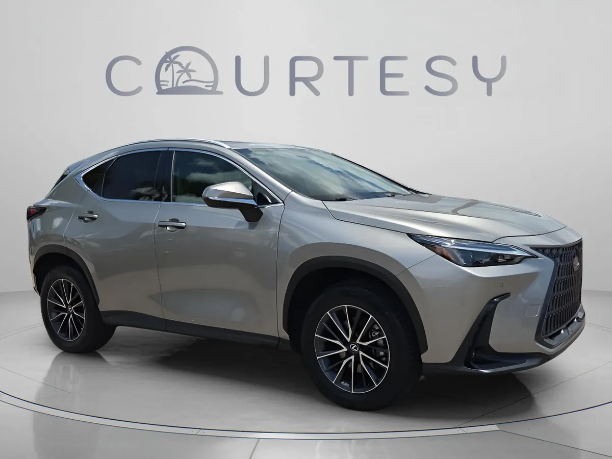 2024 LEXUS NX NX 250 Premium thumbnail 8