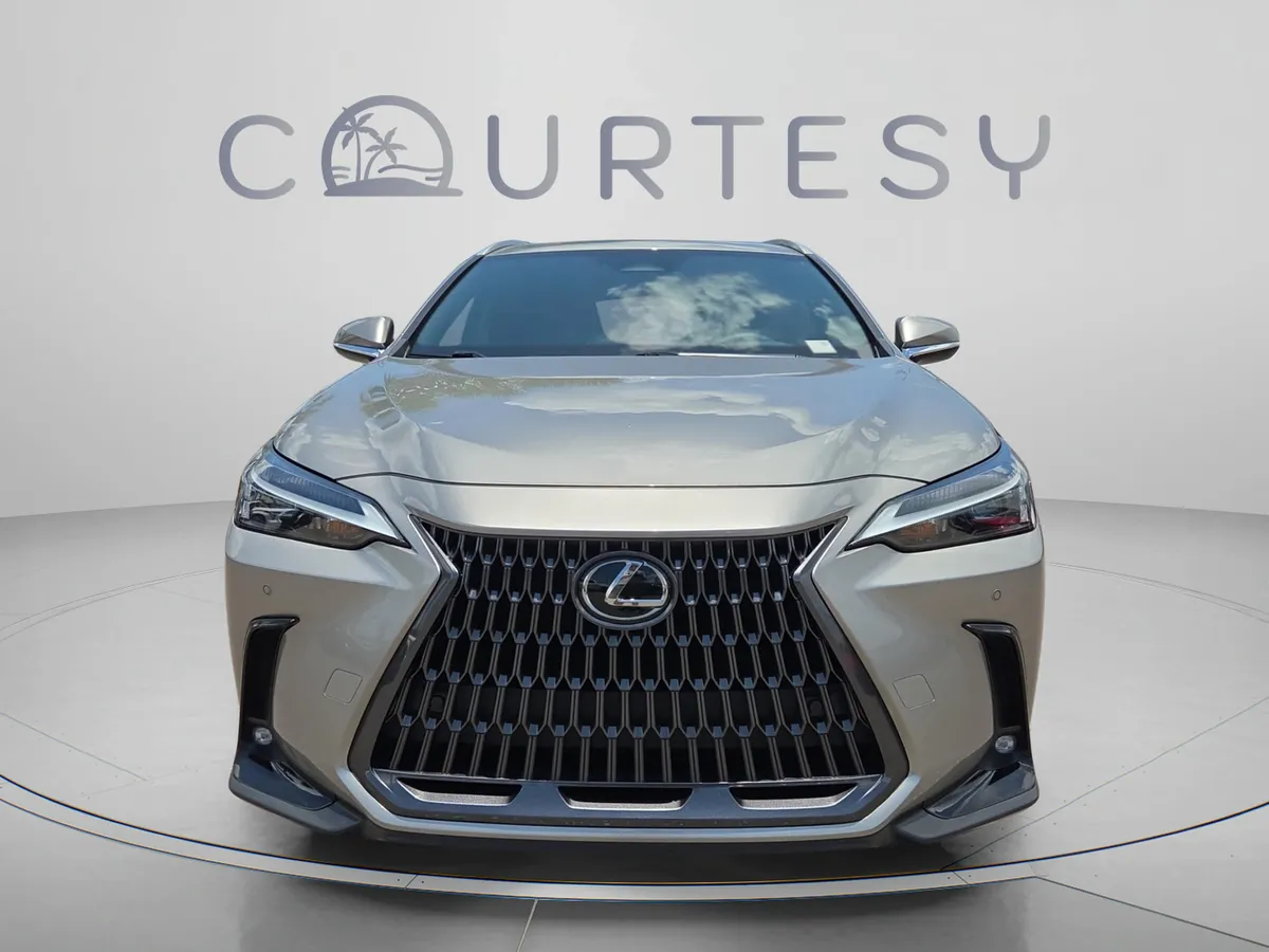 2024 LEXUS NX NX 250 Premium thumbnail 9
