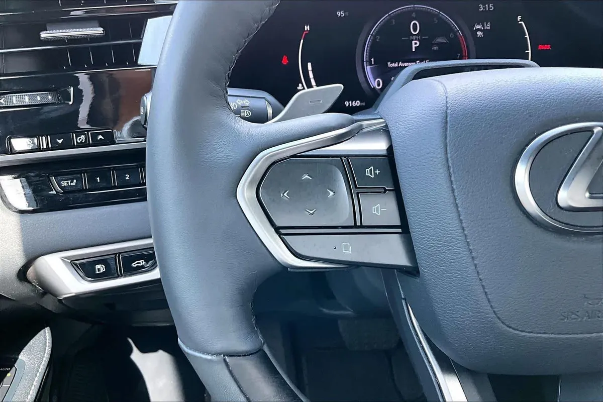 2024 Lexus RX 350 Luxury thumbnail 22