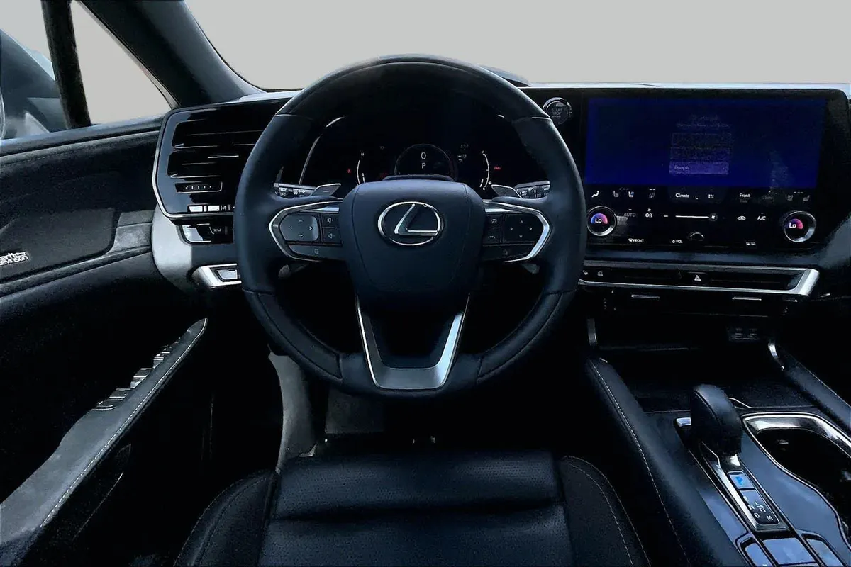 2024 Lexus RX 350 Luxury thumbnail 6