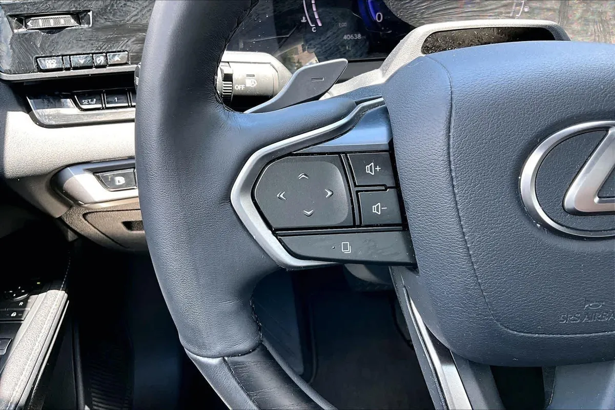 2024 Lexus RX 350 Premium Plus thumbnail 22