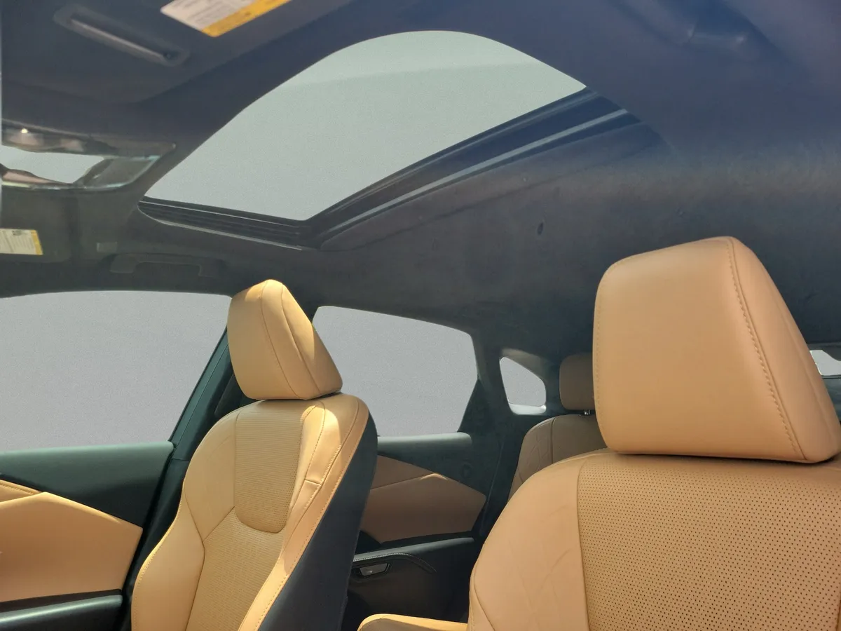 2024 LEXUS RX 350 Premium Plus thumbnail 20