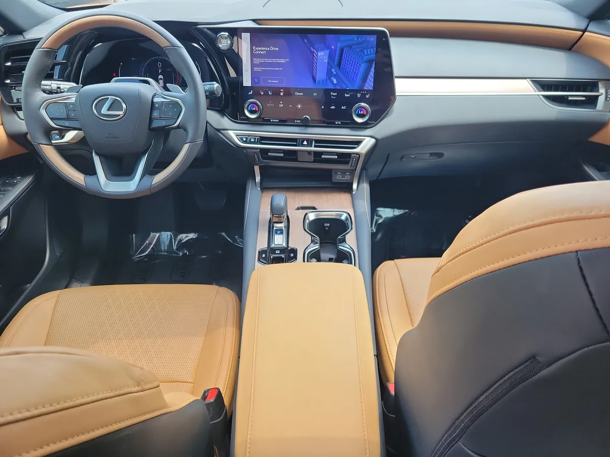 2024 LEXUS RX 350 Premium Plus thumbnail 6
