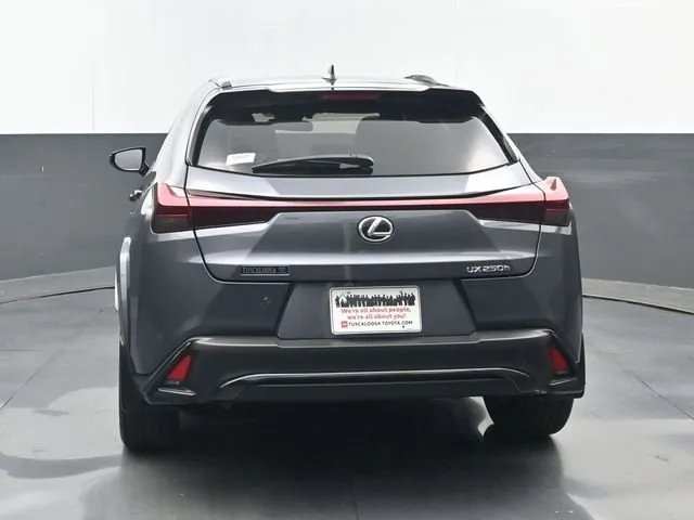 2024 Lexus UX 250h F SPORT Design thumbnail 19