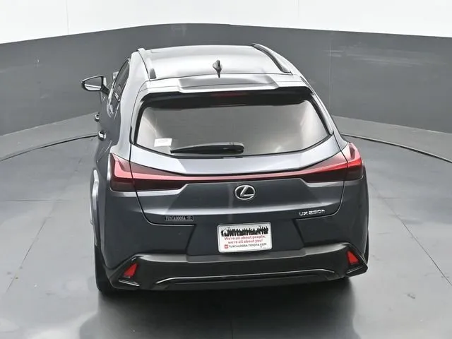 2024 Lexus UX 250h F SPORT Design thumbnail 30