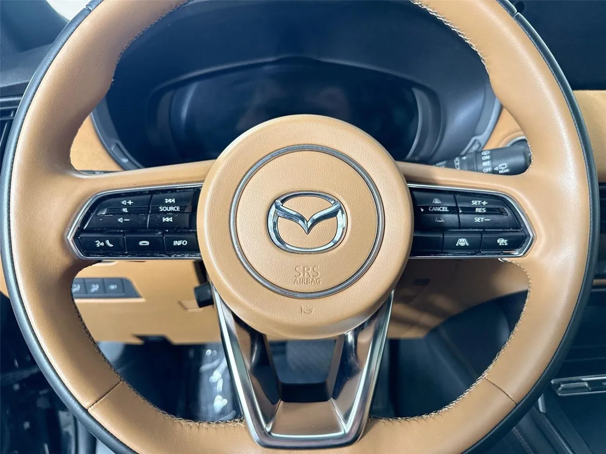 2024 Mazda CX-90 3.3 Turbo S Premium Plus thumbnail 17