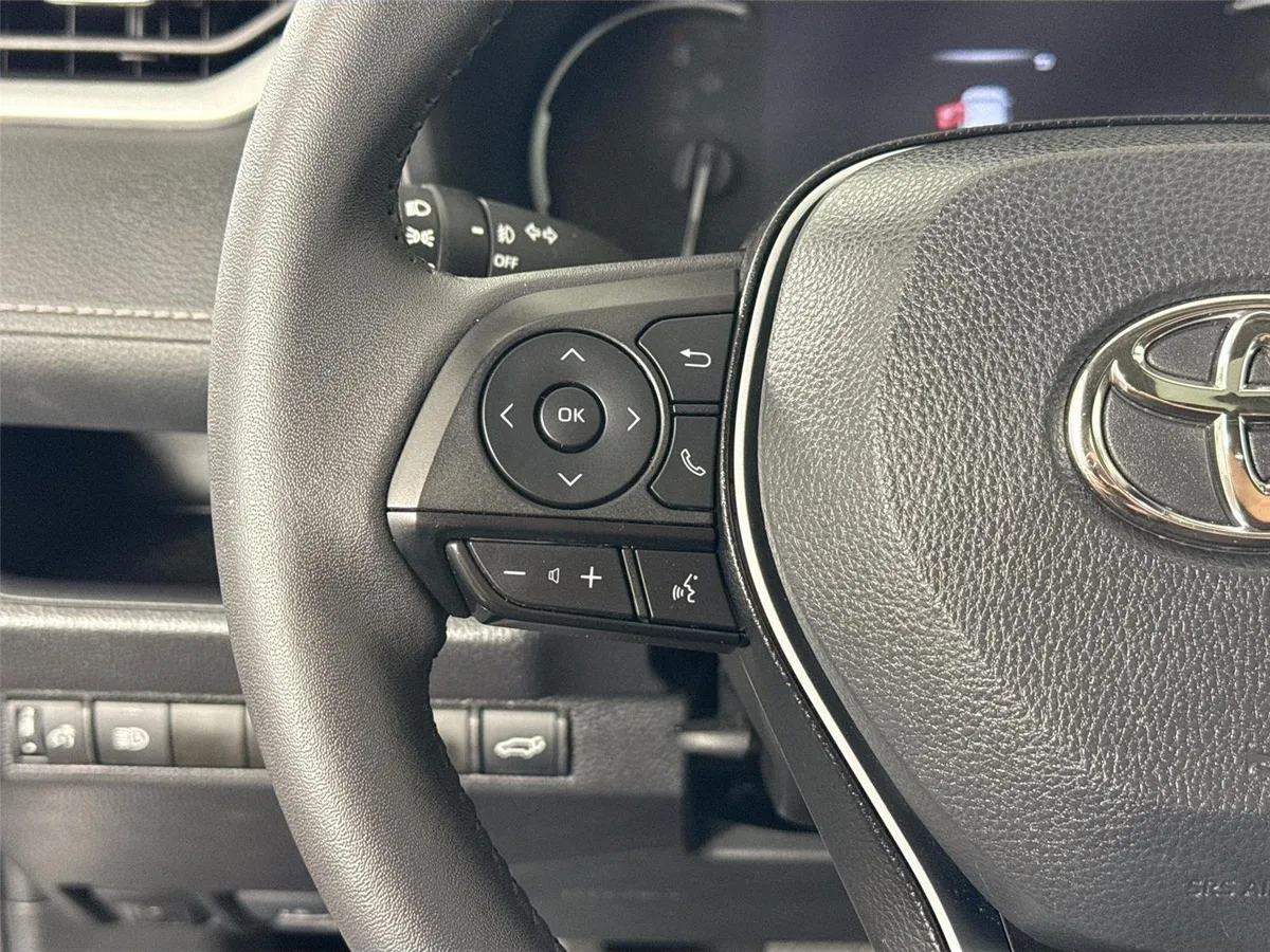 2024 Toyota RAV4 XLE Premium thumbnail 17