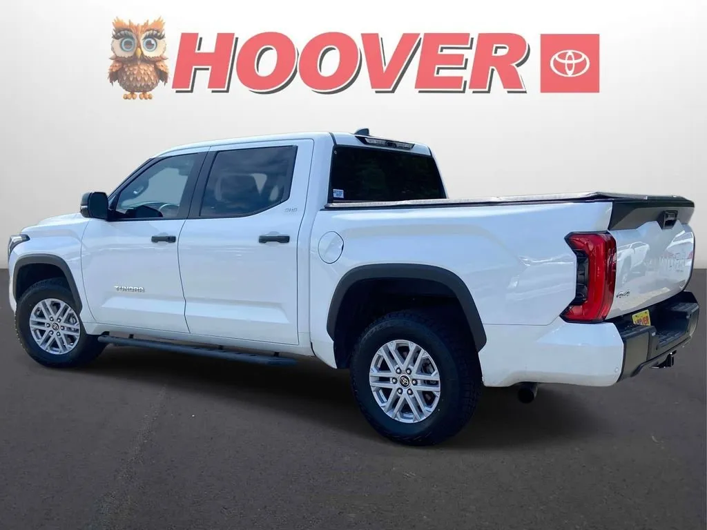 2024 Toyota Tundra SR5 thumbnail 6