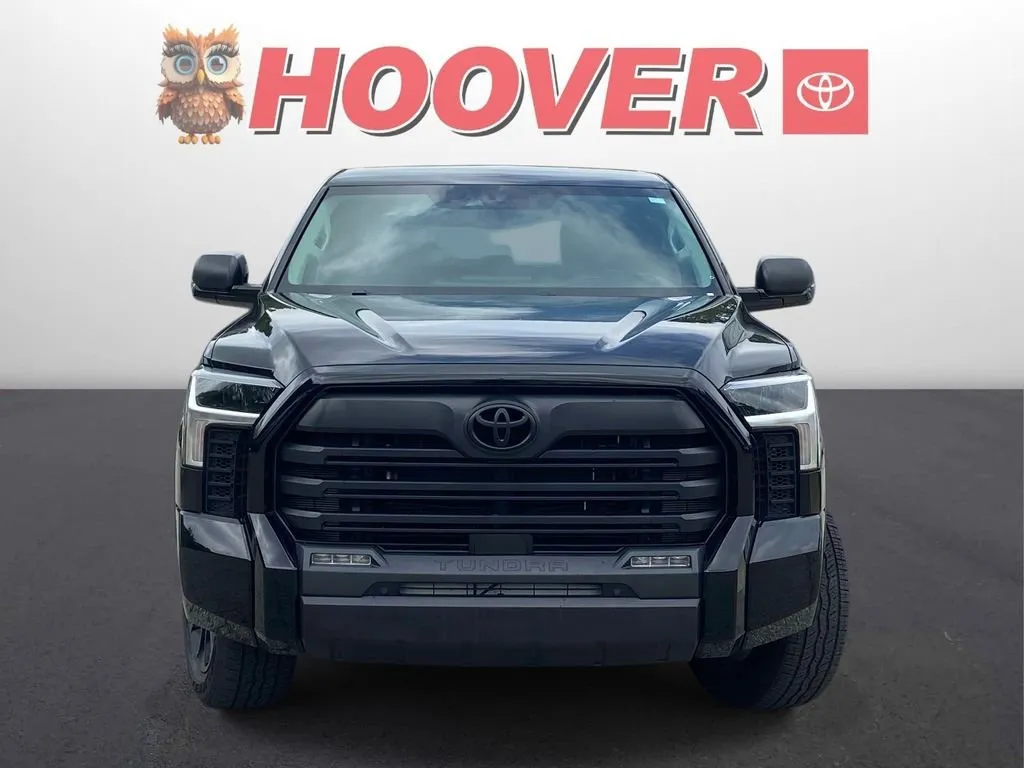 2024 Toyota Tundra SR5 thumbnail 6