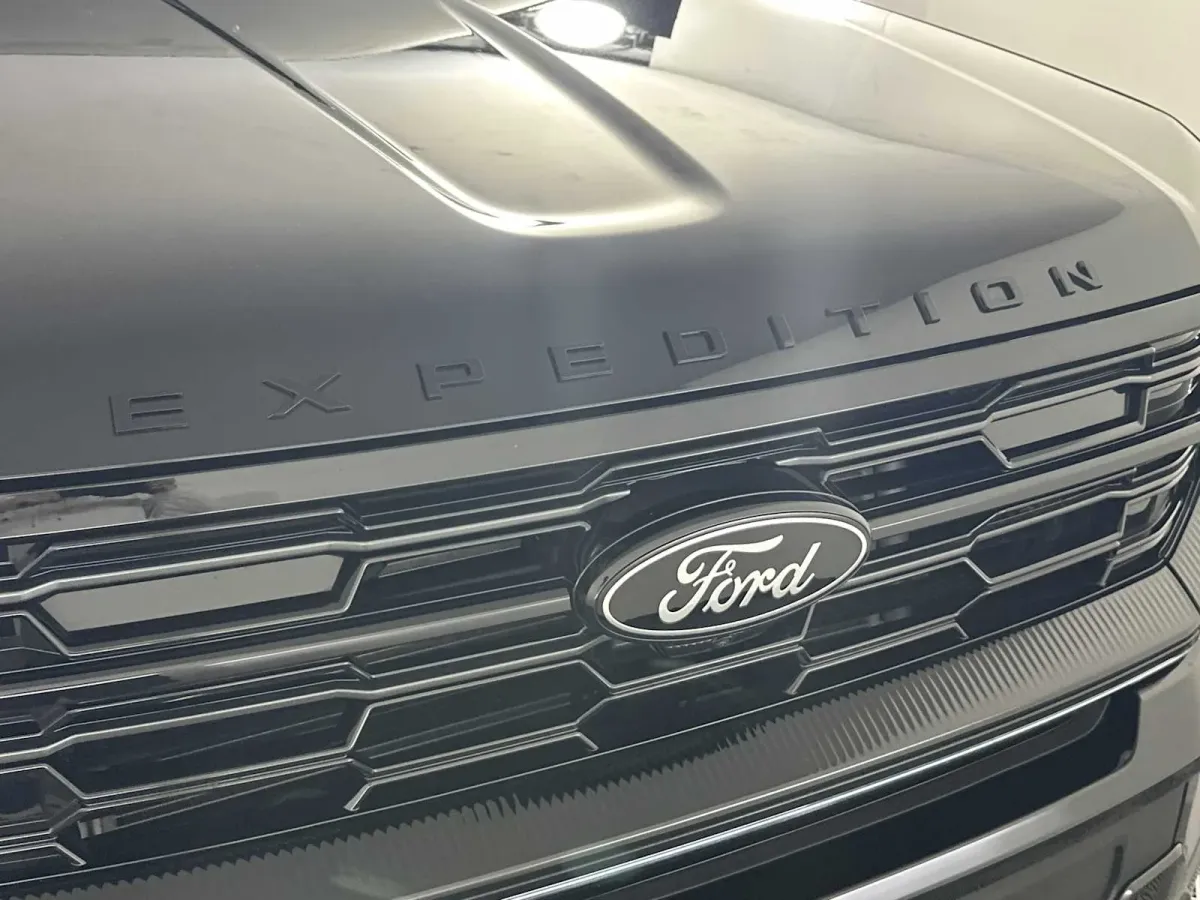 2025 Ford Expedition Platinum thumbnail 13