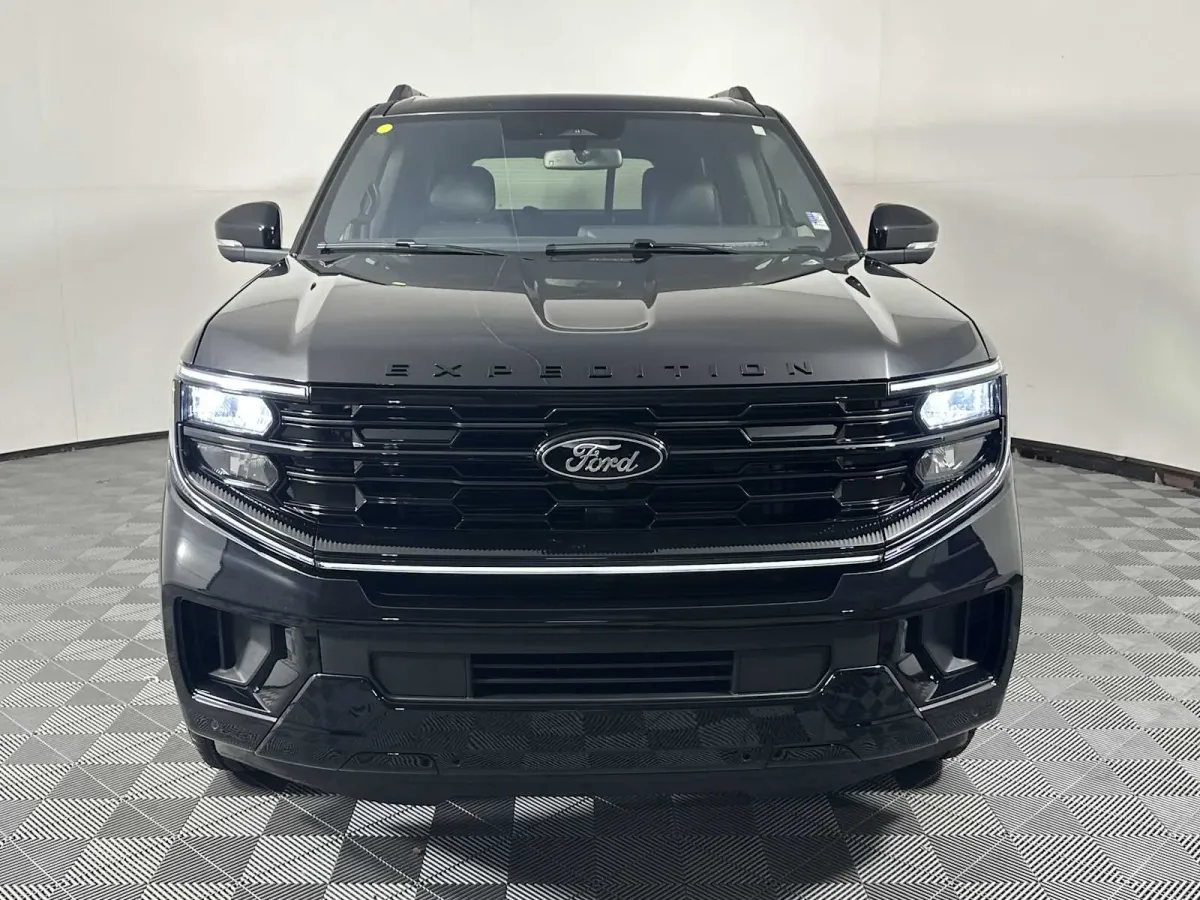 2025 Ford Expedition Platinum thumbnail 2
