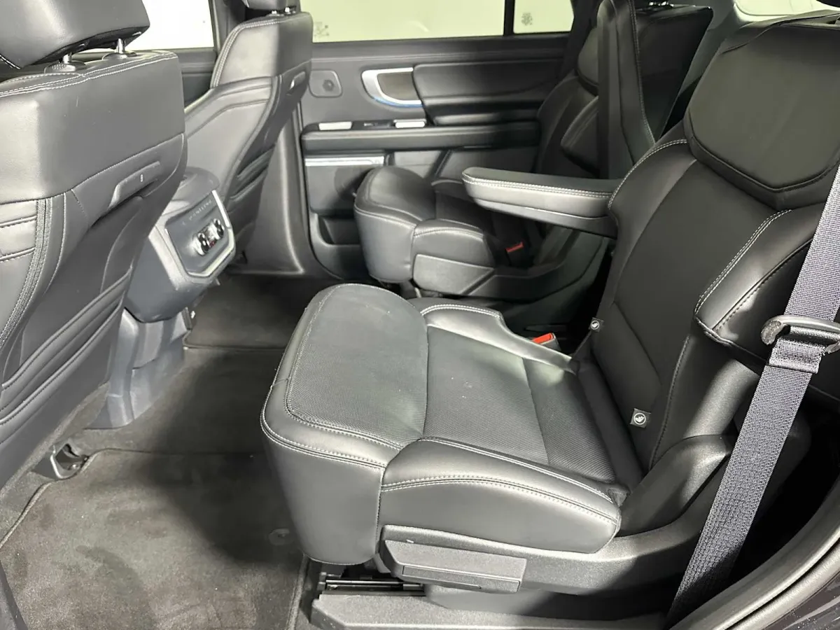 2025 Ford Expedition Platinum thumbnail 25