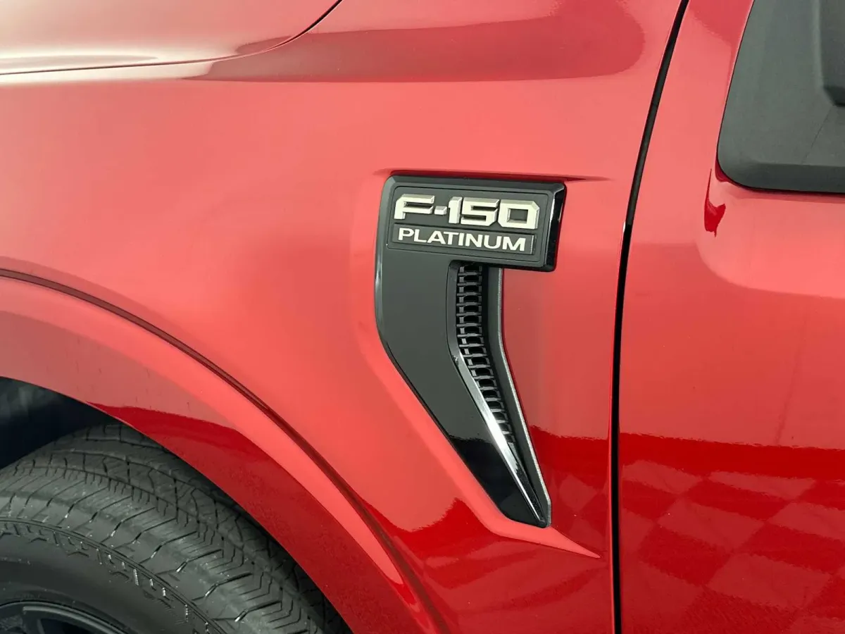 2025 Ford F-150 Platinum thumbnail 17