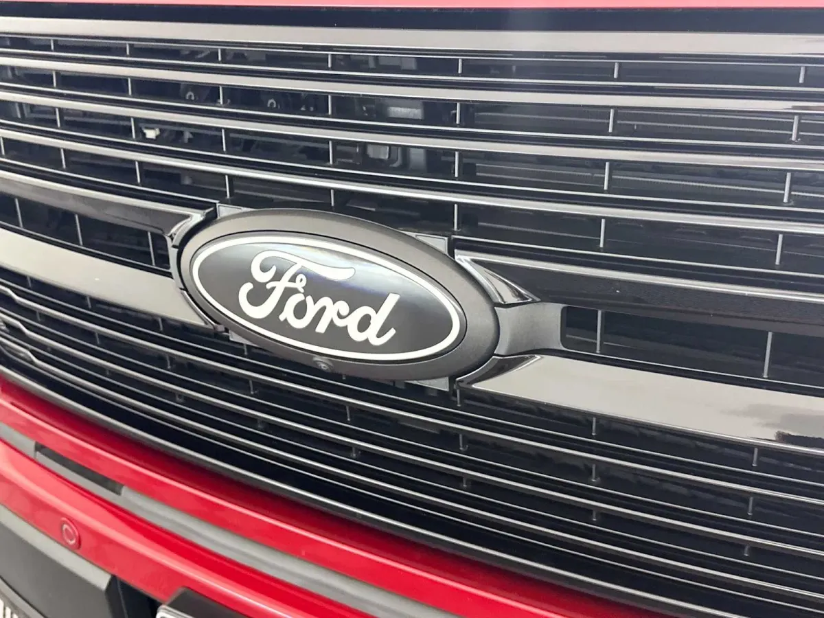 2025 Ford F-150 Platinum thumbnail 19
