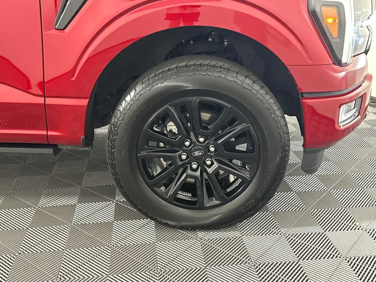 2025 Ford F-150 Platinum thumbnail 20